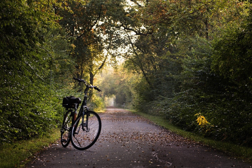 Bike on a trail